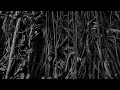 WATAIN Outlaw [Outro 30-minute cut)