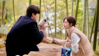 بنت غنيه بتعرض علي شاب وسيم بس فقير يتجوزها علشان يحميها من المتنمرين لكنه بيتنمر عليها ملخص مسلسل 