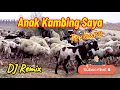 Lagu Lagu Anak Kambing Saya | Caca Marica Hey hey | DJ Remix