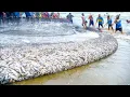 Download Lagu Woooooow 😮😱💪 Amazing seine size net fishing - uesing tractor % Net fishing video in asian 