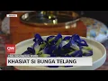 Download Lagu CNN Food: Bunga Telang, Sedap di Lidah Sedap Dipandang