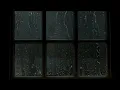 Download Lagu Hurricane Storm Sounds for Sleep - 30 Minutes Heavy Rain Sounds for Sleep, Study and Relaxation
