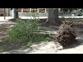 Hancock County courthouse gardens uprooted for more cost effective alternative