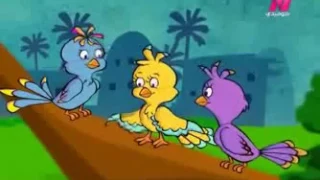 أبلة فضيلة حكاية نفسك تطلع إيه 