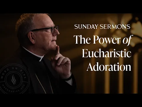 Download MP3 The Power of Eucharistic Adoration - Bishop Barron's Sunday Sermon