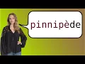 How to say seal in French