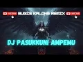 Lagu DJ PASUKKUNI AMPEMU || Bugis Kalong Remix Viral Terbaru 2025