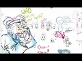 WHITEBOARD FOX LIVESTREAM