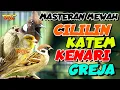 Lagu CILILIN - KAPAS TEMBAK - GREJA TARUNG - KENARI | MASTERAN AUDIO SUPER JERNIH