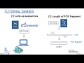 Biopython Tutorials Pt 2 How long is your PCR fragment