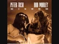 Download Lagu Peter Tosh \u0026 Bob Marley - Brand New Second Hand