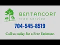 Professional Tree Services in Charlotte NC Bentancort Tree Service
