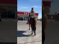 Download Lagu 10/10 recommend #horseriding #westernstyle #mule #sisters #slushie #baymare