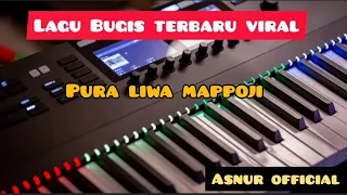 lagu bugis viral pura liwa mappoji