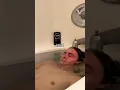 Download Lagu Taking a 24 Hour Bath! #shorts