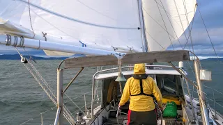 Don’t Hit the Trees [Adventure #205]