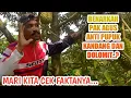 Lagu BENARKAH KEBUN DURIAN PAK AGUS WIDODO ANTI PUPUK KANDANG DAN DOLOMIT? KITA CEK FAKTANYA..