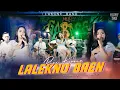 Download Lagu Dini Kurnia - Lalekno Baen (Official Live Music Lakone Band)