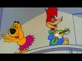 Download Lagu Pica-Pau Está Indo para o Havaí | Pica-Pau em Português