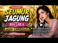 SEUMUR JAGUNG – IDA LAILA | COVER DANGDUT KENANGAN 2026 | AQBI DANGDUT