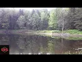 Hidden Pond