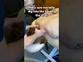 A great way to immediately relax a client