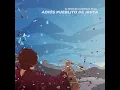 Adiós pueblito de Iruya (Guazú Remix)