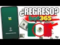 When is BET365 returning to Mexico How to wit raw money from BET365 Mexico