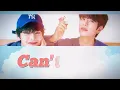 【日本語字幕】Can't Stop (나 너 좋아하나 봐/僕 君のことが好きみたいだ)/ VOCAL RACHA(スンミン、アイエン)Stray Kids【和訳/カナルビ/歌詞