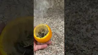 كيف تجعل ريحت بيتك نفس ريحه الفنادق  كيف تجعل ريحت بيتك نفس ريحه الفنادق