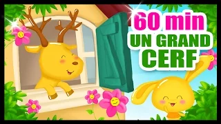 Dans Sa Maison Un Grand Cerf 60 Min De Comptines Sur Les Animaux Titounis 
