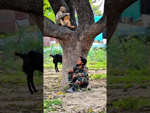 फौजी और बंदर 🐒 aur Atanki 🇮🇳😡#youtubeshorts #ytshorts #armystatus #viral