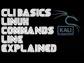 ENGLISH Learn Linux Basics Command BusyBox Commands Explained EXTENDED