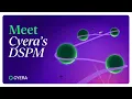 The Foundation of Data Security Cyera s AI Native DSPM Explained