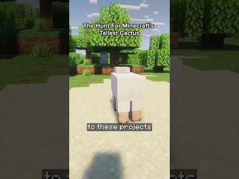 The Hunt for Minecraft's TALLEST Cactus