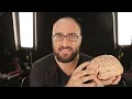 What Can You Do Without a Brain?