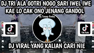 dj tri ala gotri nogo sari iwel 