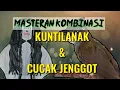 Download Lagu Masteran Burung Kombinasi KUNTILANAK dan CUCAK JENGGOT || masteran cendet