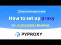 PYPROXY How to set up proxy in Undetectable browser