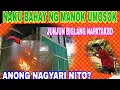 Lagu BAHAY NG MANOK UMOSOK #pbteamdavao #pugongbyahero #hilights 