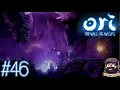 Willows End Ori and the Will of the Wisps 100