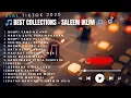 Best of Saleem iklim , lagu Malaysia