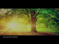Sam Allan & Sarah De Warren - Sunrise (Extended Mix) (HQ Audio)