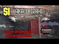 Download Lagu Suara Inap Akau Birahi cocok buat RBW Baru Wajib coba