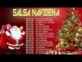 Lagu Salsa Navideña! Las Mejores Salsas Navideñas 2023 - Lo Mejor Para Estas Fiestas Navideñas 2023