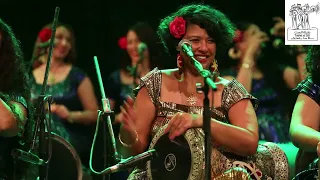 الأقصر بلدنا 