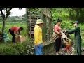 Download Lagu Kind single mother saves abandoned baby, thanks good friends for helping to repair house.