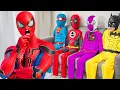 Download Lagu HISTÓRIA DO SUPER-HERÓI || Equipe do Homem-Aranha com Superpoderes? Resgate da Garota-Aranha!
