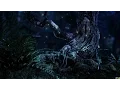 Download Lagu Soothing Night Forest Sounds - 1 Hour Ambient Soundscape - For Sleep \u0026 Relaxation (4K, 60fps)