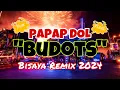 Lagu PAPAP DOL 2024 NEW BUDOTS VIRAL REMIX